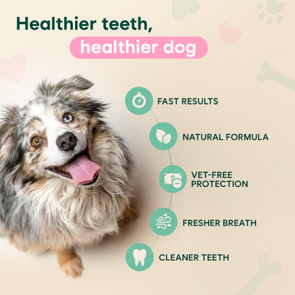 DentaClean™ - The daily oral spray that tackles bacteria at the root