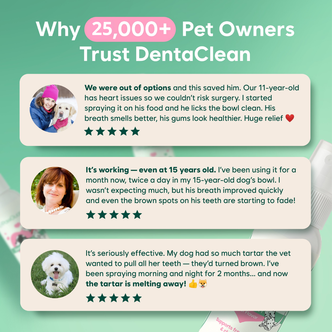 DentaClean™ - The daily oral spray that tackles bacteria at the root