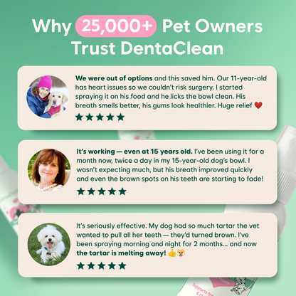DentaClean™ - The daily oral spray that tackles bacteria at the root