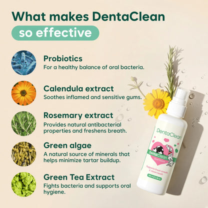 DentaClean™ - The daily oral spray that tackles bacteria at the root