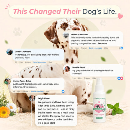 DentaClean™ - The daily oral spray that tackles bacteria at the root