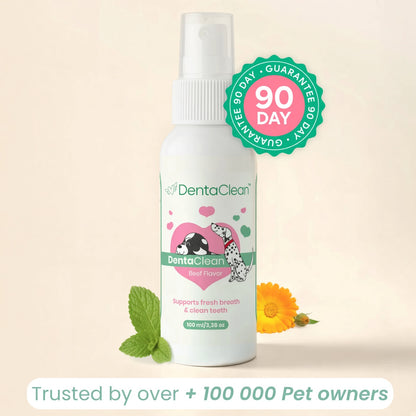 DentaClean™ - The daily oral spray that tackles bacteria at the root